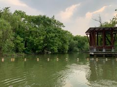 -上海吴淞炮台湾国家湿地公园