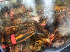 -七鲜超市(万向城店)