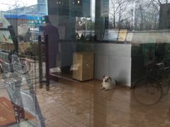 -瑞派宠物医院(锦江店)