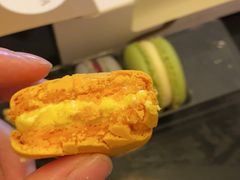 -罗森尼娜(德思勤店)