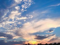 -洪湖湿地生态园