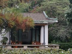 -广州兰圃