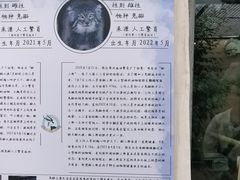 -青藏高原野生动物园