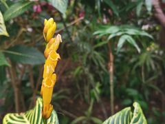 -北京植物园-展览温室