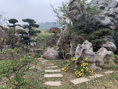 -东湖落雁景区