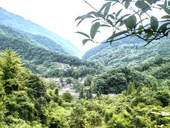 -青城山