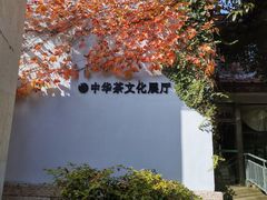 -中国茶叶博物馆(双峰馆区)