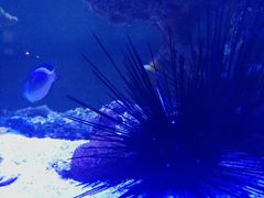 -暹罗酒肆泰餐厅酒吧