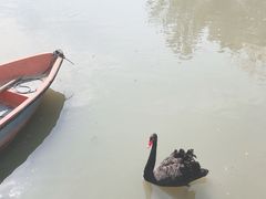 -常州武进九洲喜来登酒店