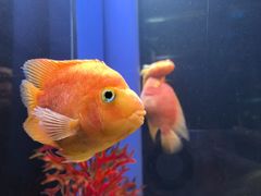 -欢乐海岸海洋奇梦馆