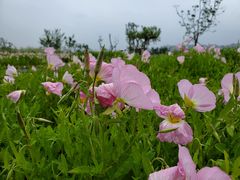 -汉长安城未央宫国家考古遗址公园