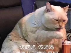 -一些柠檬一些茶(西村店)