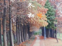 -虎丘湿地公园