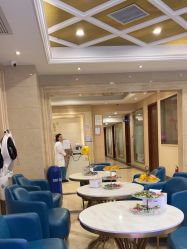 -碧莲盛·不剃发植发