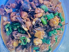 -俭寨大盘芦花土鸡·小公鸡·烧烤新疆菜(云通店)