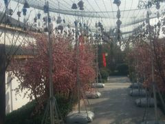 -郑州银基黄帝宫御温泉