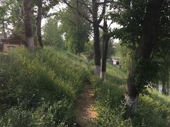 -赵州桥景区