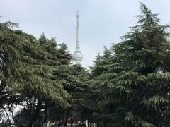 -龟山风景区-龟山电视塔