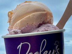 -Dooley's Premium Ice Cream