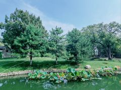 -三里河公园