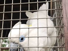 -西苑半岛·中餐厅