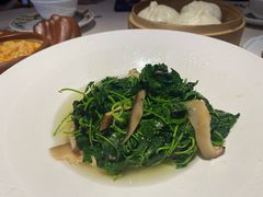 -功德林(南京西路店)