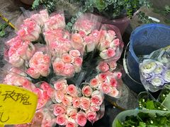 -循礼门鲜花花市(武汉循礼门店)