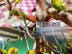 -上海大自然野生昆虫馆(东方明珠·爬宠昆虫探索中心)