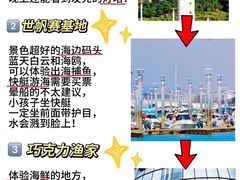 -巧克力渔家.小船海鲜胶东菜(万平口店)