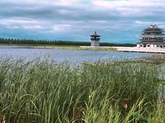-呼兰河口湿地公园