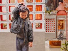 -LuluCake·路鹿蛋糕