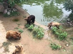 -石家庄市动物园