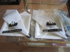 -BLACKSWAN黑天鹅(环球店)