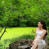 仙女拍照姿势合集