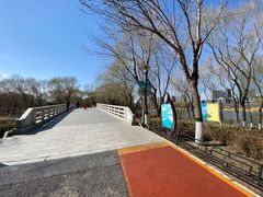 -大兴滨河森林公园