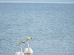 -赛里木湖风景名胜区