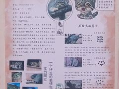 -青藏高原野生动物园