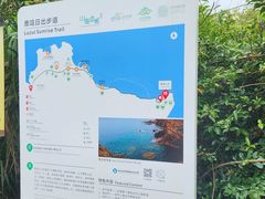 -杨梅坑