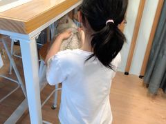 -MOYOYO猫咪咖啡店