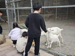 -厦门悦华酒店