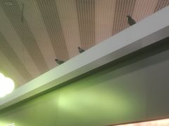 -谢列梅捷沃国际机场