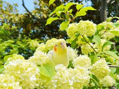 -上海滨江森林公园