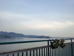 -望湖烤鱼