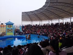 -华夏文旅海洋公园