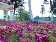 -集美鳌园景区