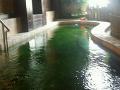 -泉城欧乐堡戏水湾艺术养生温泉