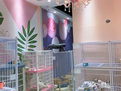 -藏猫猫咖啡主题馆(中央大道店)