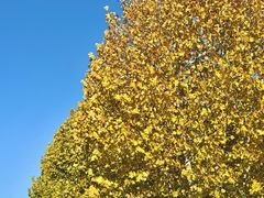 -艾溪湖湿地公园