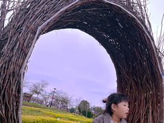 -金卉庄园