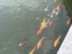 -檀园